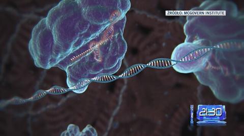 Naukowcy będą modyfikować embriony