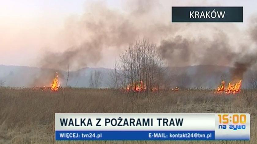 Niebezpieczne wypalanie traw w Polsce (TVN24)