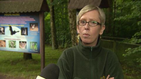 O małpiatkach lori mówiła Katarzyna Byczyk z Nowego Zoo w Poznaniu