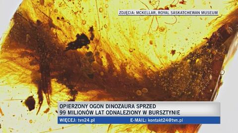 Ogon dinozaura zatopiony w bursztynie