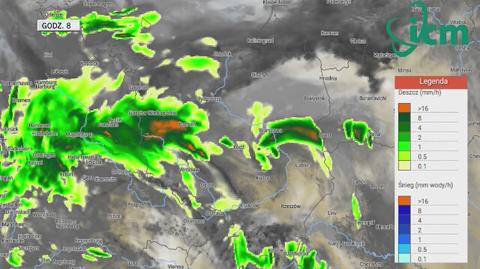 Opady w najbliższych godzinach (ICM UW)