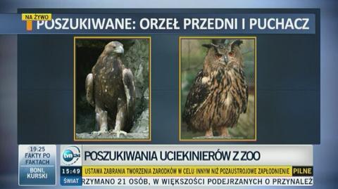 Orzeł przedni i puchacz poszukiwani