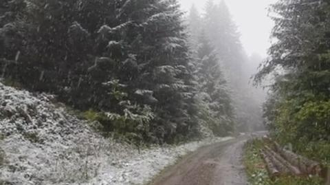 Pierwszy śnieg w Bieszczadach