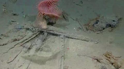 Podwodna eksploracja wraku na dnie Zatoki Meksykańskiej - NOAA