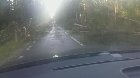 Powalone drzewa na drodze w rejonie Supraśla