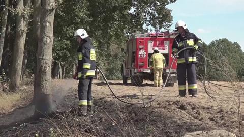 Pożar ścierniska w okolicy miejscowości Kosobudy