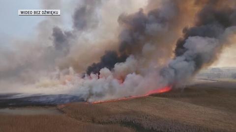 Pożar w Biebrzańskim Parku Narodowym