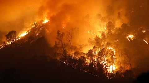 Pożary lasów w Kalifornii