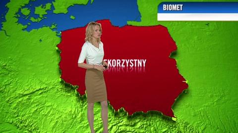 Prognoza dla meteopatów