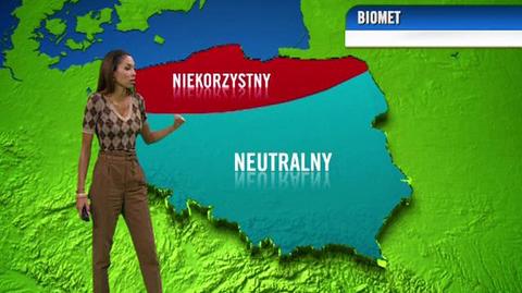 Prognoza dla meteopatów