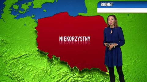 Prognoza pogody dla meteopatów 04.01