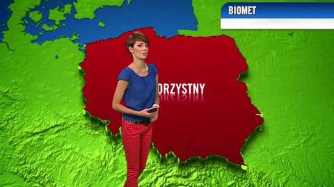 Prognoza pogody dla meteopatów, 08.07