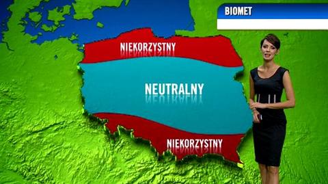 Prognoza pogody dla meteopatów, 1.09