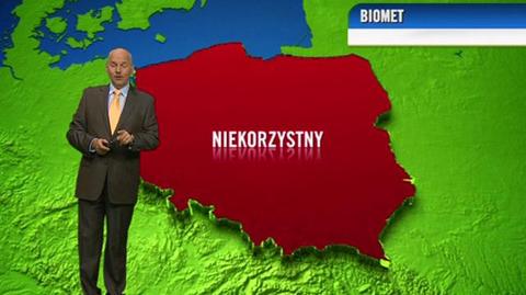 Prognoza pogody dla meteopatów 19.10