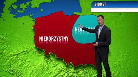 Prognoza pogody dla meteopatów na dzień 29.07