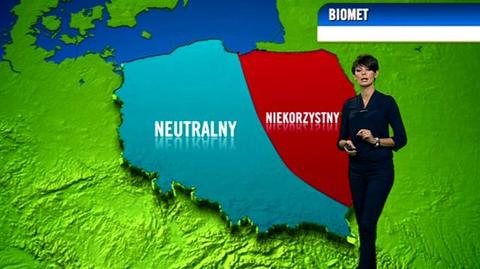 Prognoza pogody TVN Meteo dla meteopatów, 1.11