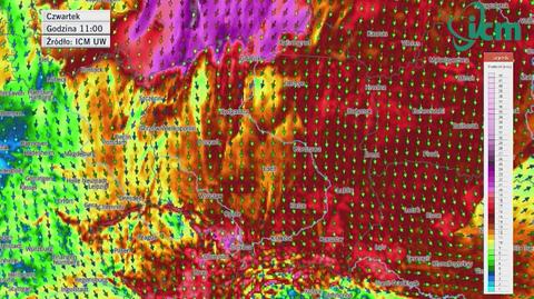 Prognoza wiatru w czwartek (ICM UW)