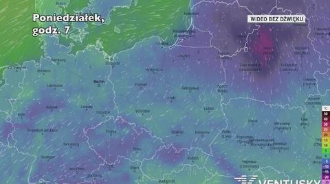 Prognozowana temperatura w kolejnych dniach (Ventusky)