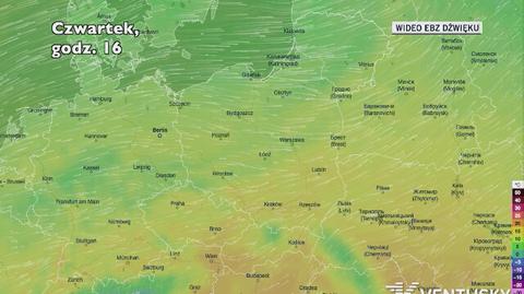 Prognozowana temperatura w kolejnych dniach (Ventusky.com)