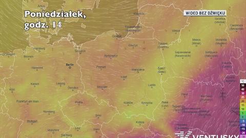 Prognozowana temperatura w kolejnych dniach (Ventusky.com)