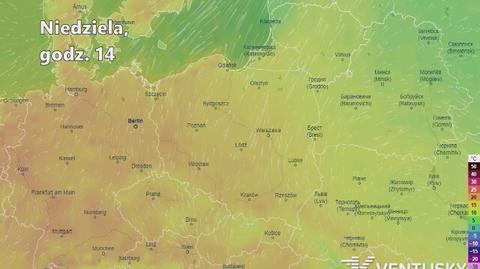 Prognozowana temperatura w kolejnych dniach (Ventusky.com | wideo bez dźwięku)