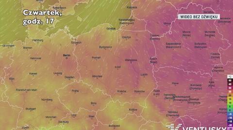 Prognozowana temperatura w najbliższych dniach