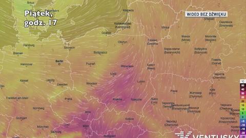 Prognozowana temperatura w najbliższych dniach