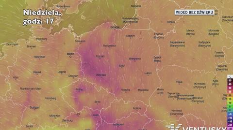 Prognozowana temperatura w najbliższych dniach