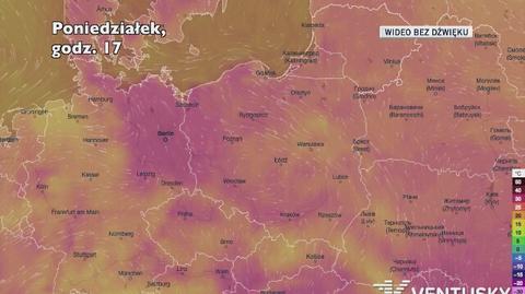 Prognozowana temperatura w najbliższych dniach