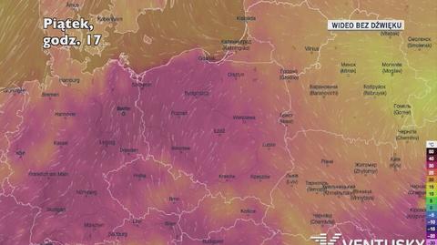 Prognozowana temperatura w najbliższych dniach