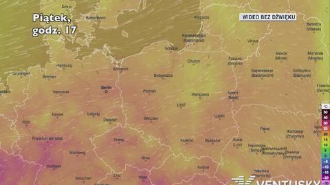 Prognozowana temperatura w najbliższych dniach