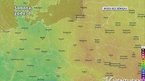 Prognozowana temperatura w najbliższych dniach