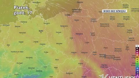 Prognozowana temperatura w najbliższych dniach