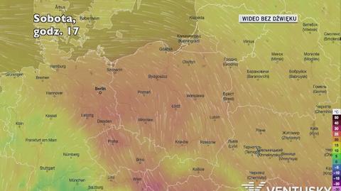 Prognozowana temperatura w najbliższych dniach