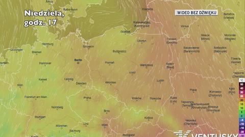 Prognozowana temperatura w najbliższych dniach