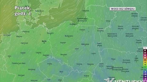 Prognozowana temperatura w najbliższych dniach