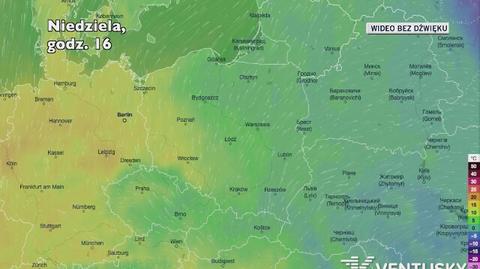 Prognozowana temperatura w najbliższych dniach