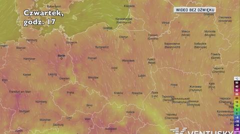 Prognozowana temperatura w najbliższych dniach