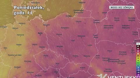 Prognozowana temperatura w najbliższych dniach