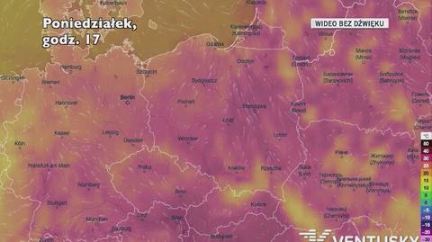 Prognozowana temperatura w najbliższych dniach