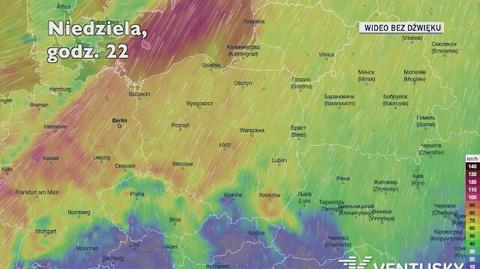 Prognozowane porywy wiatru w kolejnych dniach (Ventusky.com)