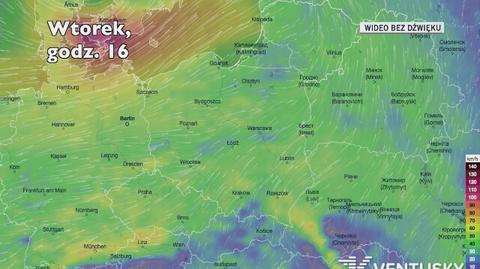 Prognozowane porywy wiatru w kolejnych dniach (Ventusky.com)