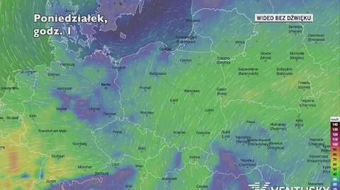 Prognozowane porywy wiatru w kolejnych dniach (Ventusky.com)