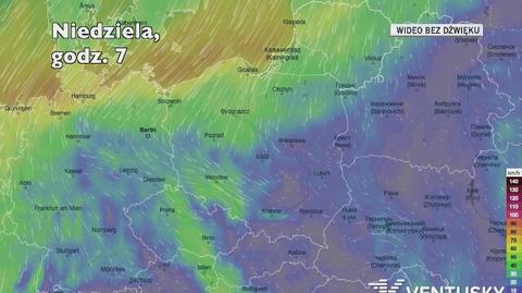 Prognozowane porywy wiatru w kolejnych dniach (Ventusky.com)