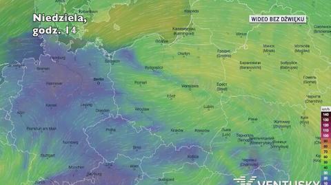 Prognozowane porywy wiatru w kolejnych dniach (Ventusky.com)