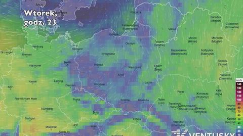 Prognozowane porywy wiatru w kolejnych dniach (Ventusky.com | wideo bez dźwięku)