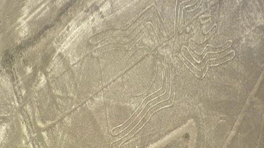 Rysunki z Nazca (Wikipedia)