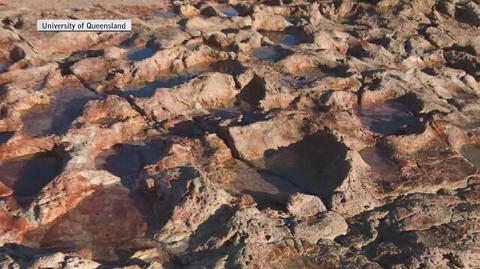 Ślady dinozaurów znalezione w Australii