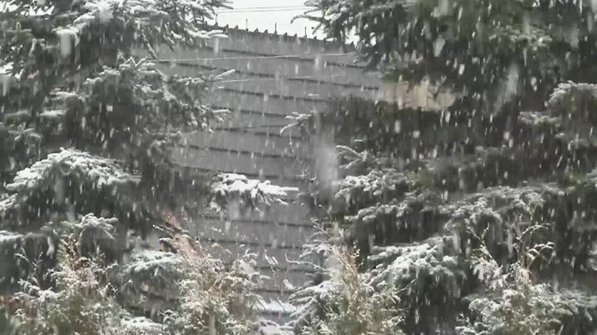 Śnieg rozpadał się na Podhalu