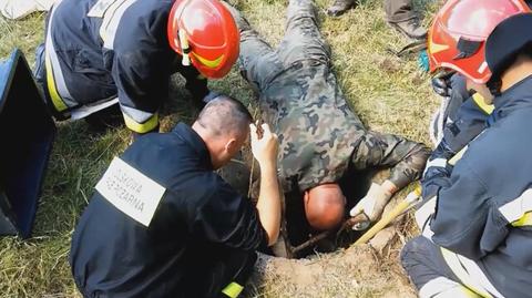 Strażacy i leśnicy ratują uwięzionego borsuka